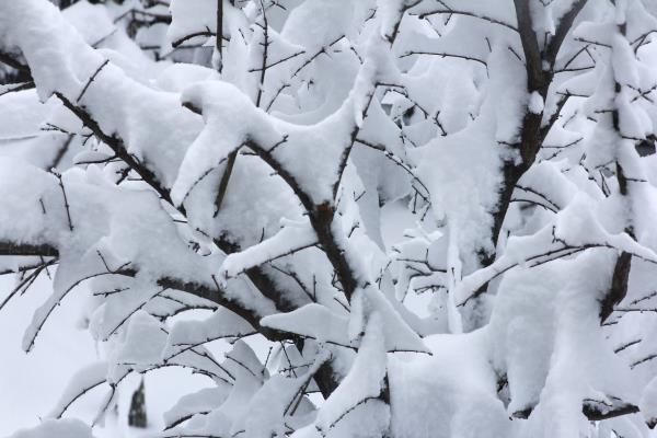瑞雪兆豐年，淮南迎來吉祥雪