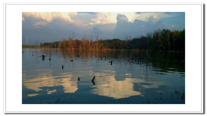 夕陽映像濕地公園
