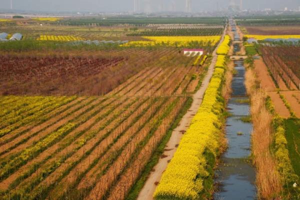 淮南，春暖花開的時節