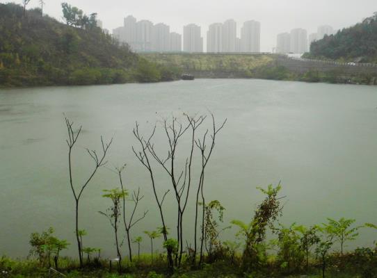 泉山湖北庫秋色