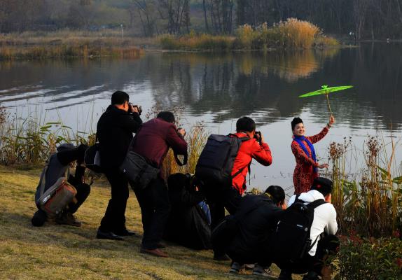 大通濕地活動拍攝花絮