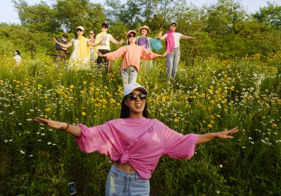老龍眼，放飛夏天