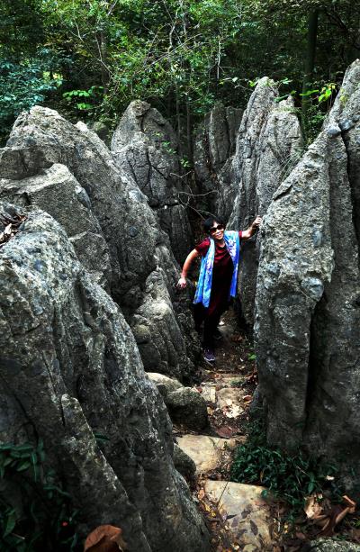 八公山一一石林