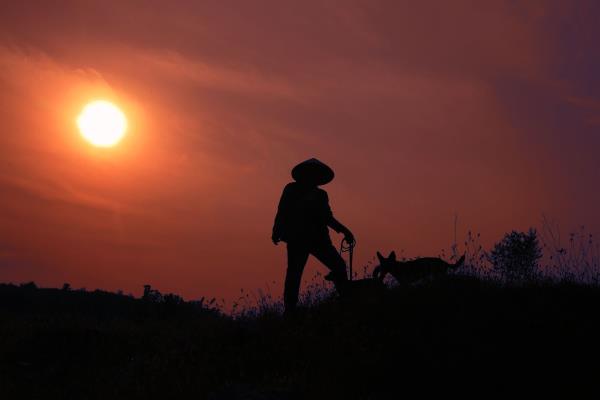 夕陽下的牧羊人
