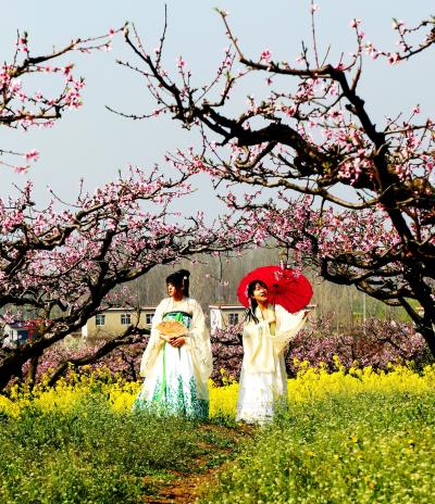 人面桃花相映紅<老片回眸>