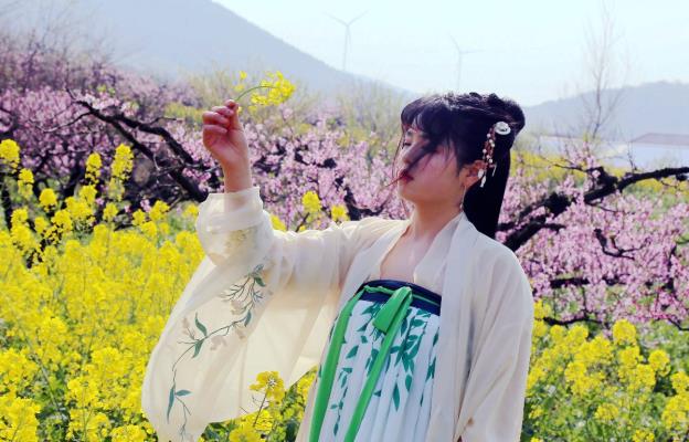 夢境一一桃花紅、菜花黃，桃（梨）故鄉郝家圩。