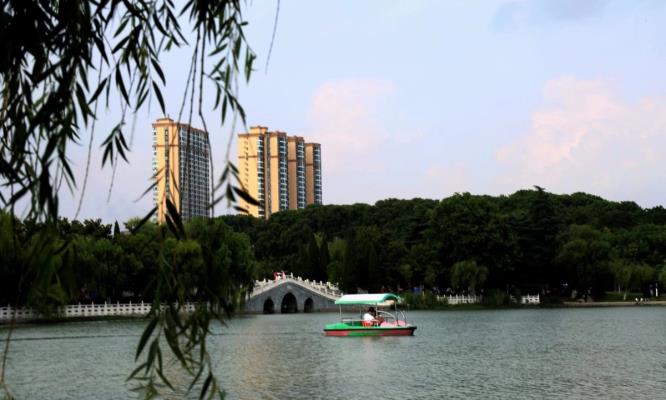 2020農歷（小暑）龍湖公園的人們……