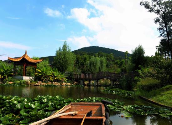 秋染：淮礦健康養(yǎng)老公司……該公司花巨資建造多處江南式的園林景觀……