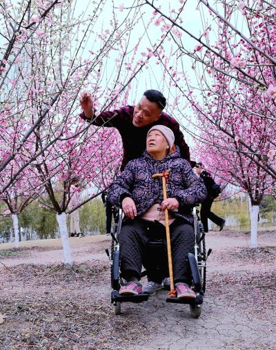 春天的故事：推著《老娘來賞梅》