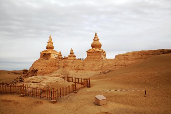 大漠秘境【黑城怪樹林】