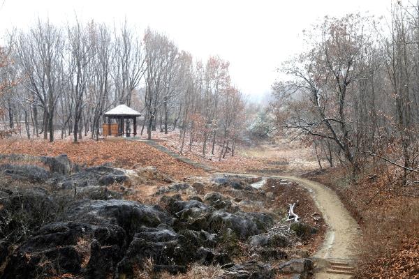 冬日媽媽澗美景