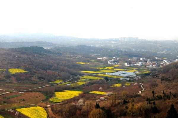 淮南最美鄉(xiāng)村【李家洼】