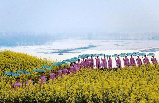 春光曲【麟媛佳麗展風(fēng)彩】