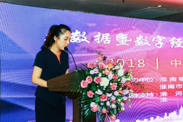 2018年大數據暨數字經濟推動大會紀實