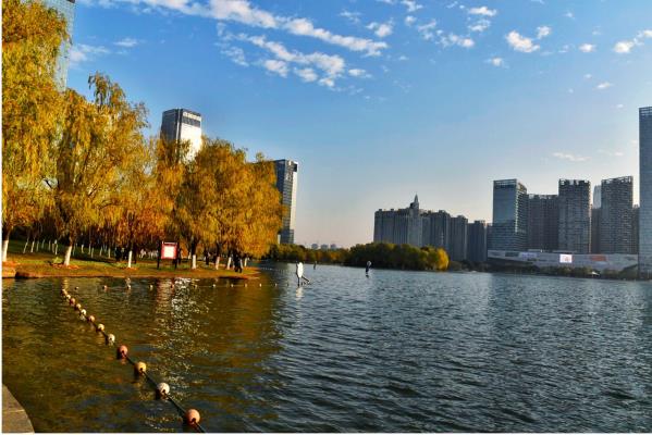 省會合肥天鵝湖