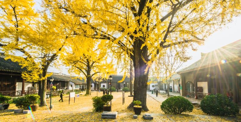 壽縣清真古寺掠影   -拍攝于2018年11月24日