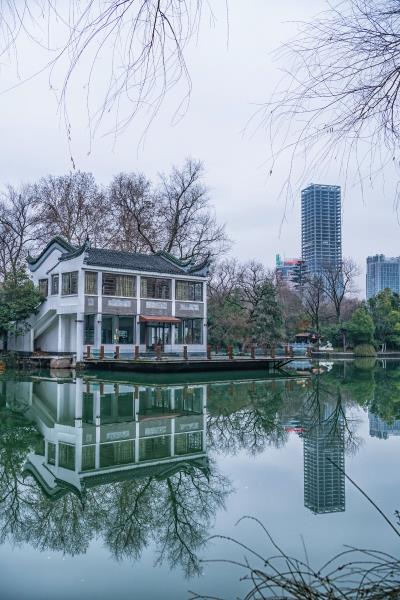 包河公園梅花’美’’ 景色更美-  拍攝??于2019元宵佳節(jié)