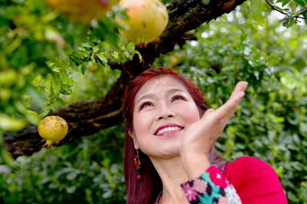 八公山天寶閣環境人像