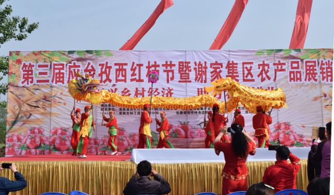 振興鄉村經濟 助力農戶增收  淮南第三屆應臺孜西紅柿節暨謝家集農產品展銷會于2021.4.27日開幕
