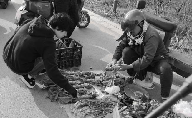 市井小菜市  道出民間情