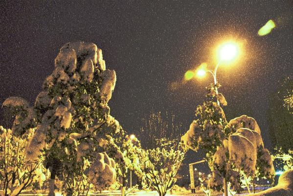 一場飄落在心靈深處的雪