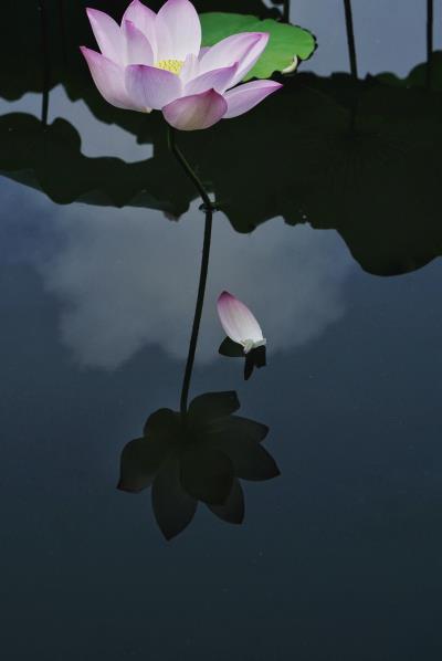 風(fēng)是在哪一個(gè)方向吹