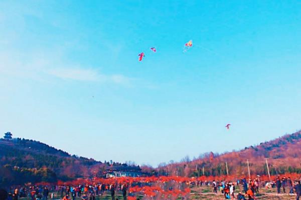 網紅景點 舜耕梅園