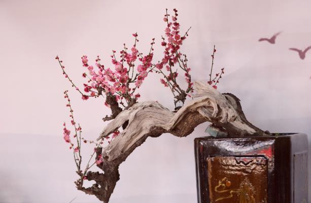 傲骨幽香