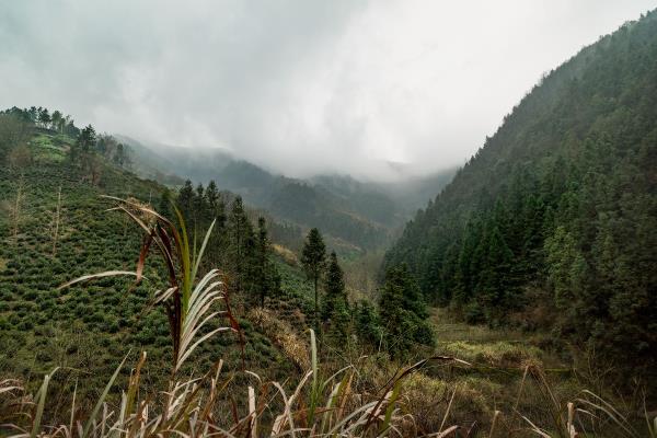 徽州漁村