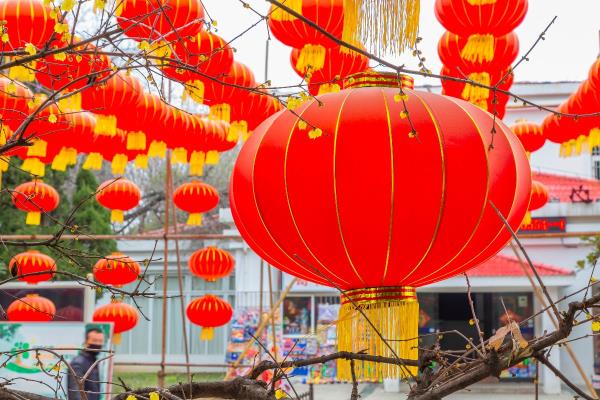 年初一早上的龍湖公園