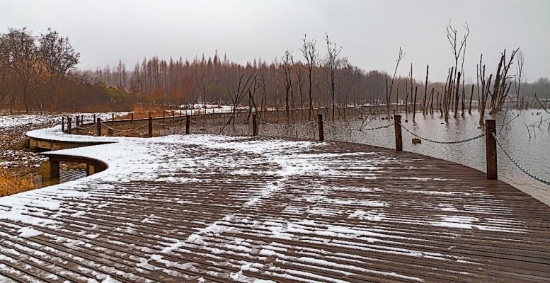 2020.1.27.大通濕地雪景