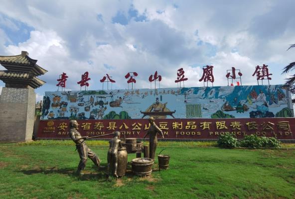 參加“我為淮南寫首詩”頒獎典禮省外獲獎詩人及應邀嘉賓今日抵淮