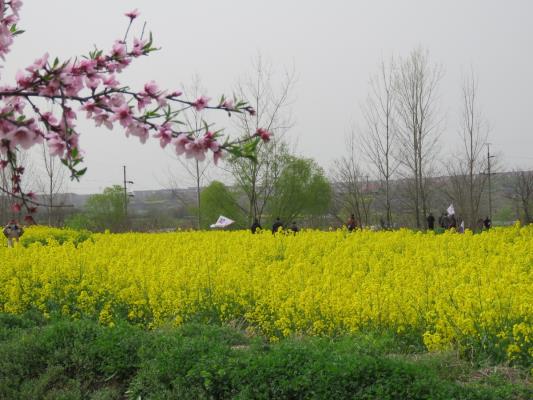 淮南圖片網(wǎng)謝區(qū)分站戶外踏青紀(jì)實