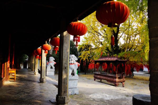 壽縣印象之又是銀杏落葉時