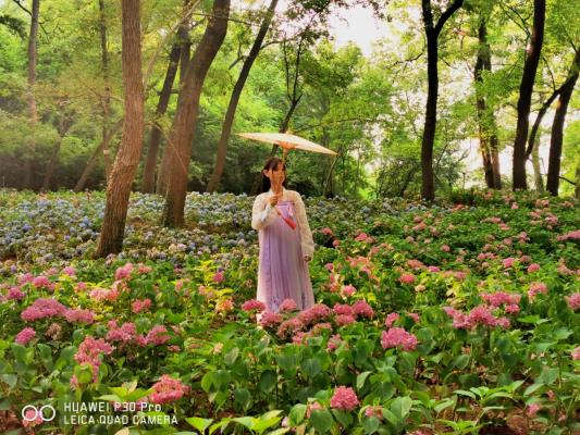 手機記錄生活——行行攝攝之巧遇花仙子