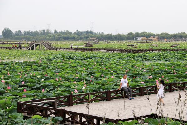 攝影記錄生活——行行攝攝之走進焦崗湖