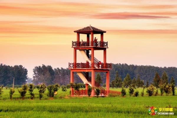 行行攝攝之田野