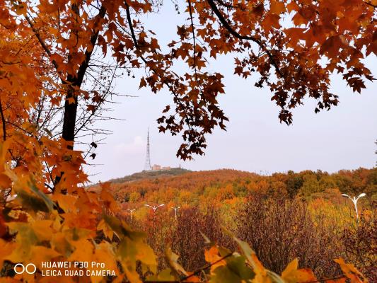 手機記錄生活——秋走環(huán)山路
