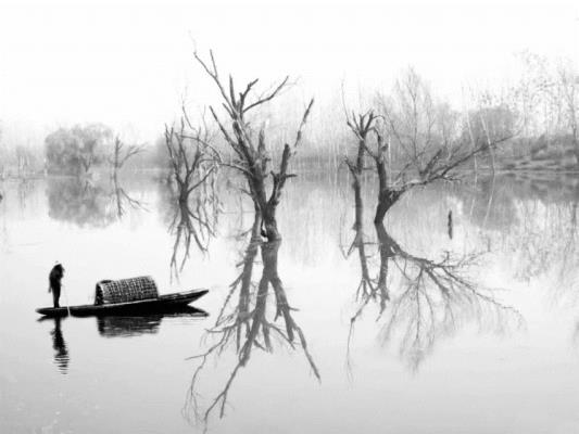 護(hù)城河里的魚船枯樹