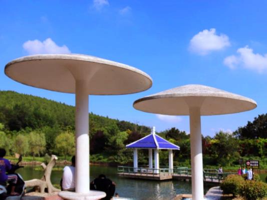 走進上窯森林公園