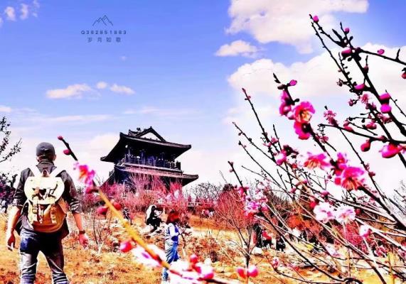 約大年初一爬舜耕山登高祈福