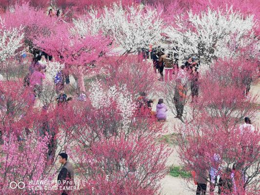 我為自己寫首詩
