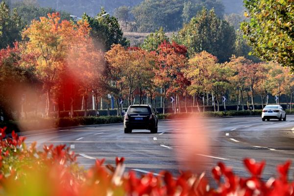 一年好景君須記，最是秋色斑斕時