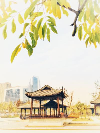 喜歡秋天的色彩