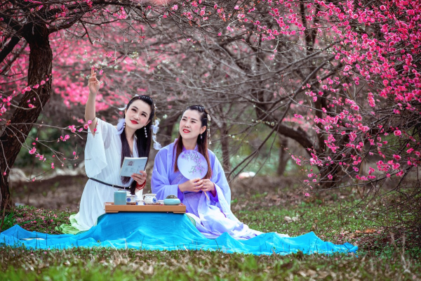 人面梅花醉詩篇