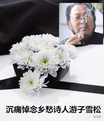 淮南圖片網沉痛悼念游子雪松