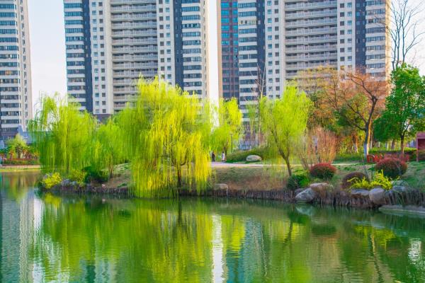 攝影：張春光   賦詩(shī)：胡鳳茹||古體· 為《春潤(rùn)山南攝影》題圖