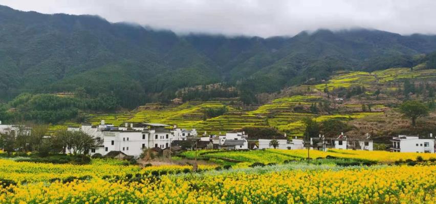 李維煥《七絕?婺源春色》