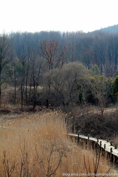 七律：大通濕地公園