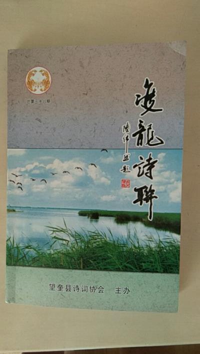 鳴謝黑龍江省《雙龍詩聯(lián)》發(fā)表拙作